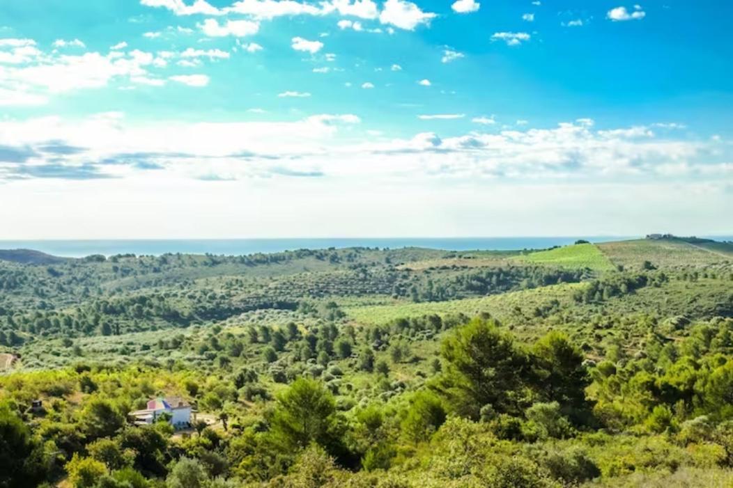 The Dutch Caravan At Wildspirit Eco Farm Villanueva d'Alcolea